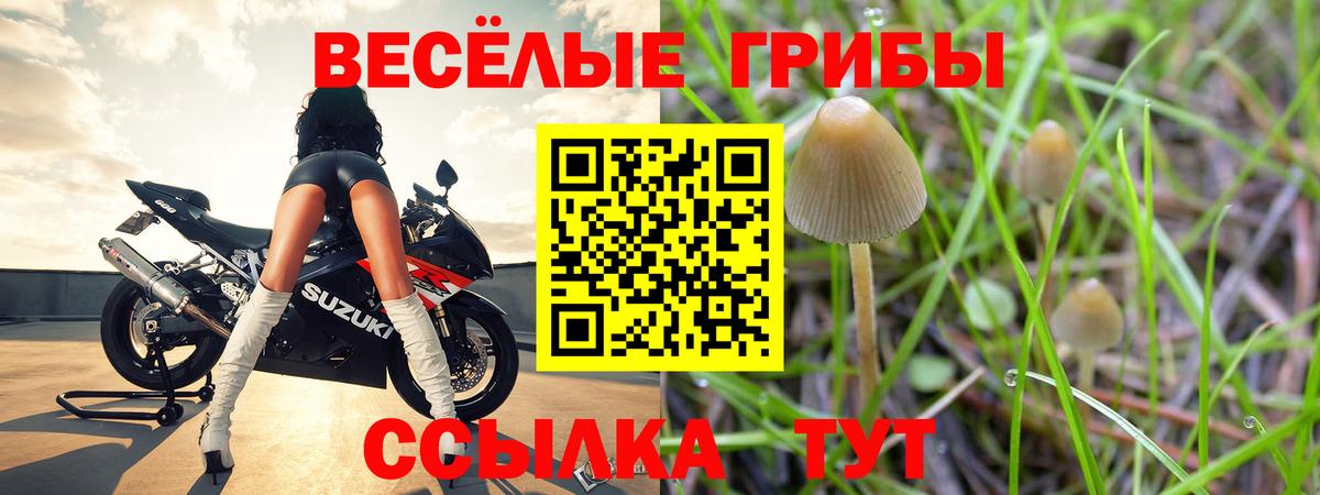 Псилоцибиновые грибы Psilocybine cubensis  Псилоцибиновые грибы прущие грибы  Вход с VPN  Анапа 